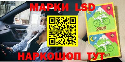 СК Шелехов