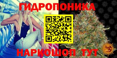 дживик Шебекино