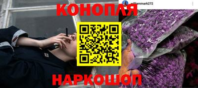 дживик Шебекино