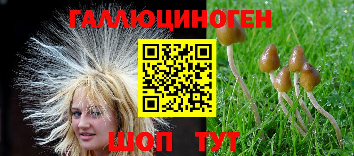 Псилоцибиновые грибы Magic Shrooms  Вход с VPN  цена наркотик  Владивосток  Галлюциногенные грибы мухоморы 