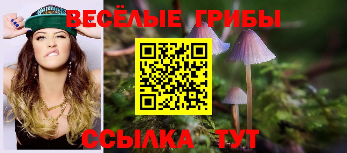 Галлюциногенные грибы Cubensis Владивосток